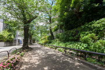 Fototapeta premium 北沢川緑道（東京都世田谷区）