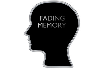 FADING MEMORY concept