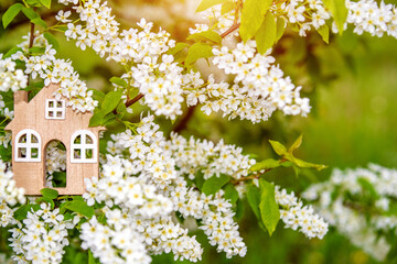 The symbol of the house among the branches of the Bird cherry
