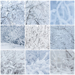 Winter backgrounds collection with trees and bushes covered with hoarfrost. Snow and rime ice on the branches. Plants covered with hoar frost. Cold snowy weather. Set of cool frosting textures.