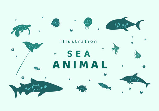 Illustration Sea Animal Clip Art