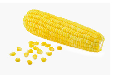 ears of Sweet corn isolated on white background