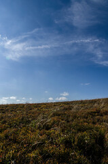 Bieszczadzkie panoramy 