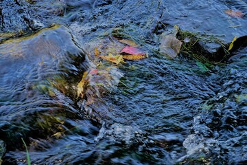 Flussströmung mit großen Steinen und bunten Blättern im Wasser