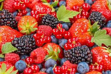 Berries fruits berry fruit strawberries strawberry blueberries blueberry