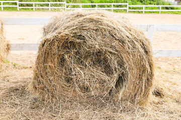 Sheaf of hay on a sunny day, close up