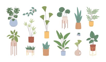 Naklejka na ściany i meble Potted house plants set. Leaf houseplants growing in flowerpots, planters and vases. Modern home interior natural decor. Foliage decoration. Flat vector illustration isolated on white background