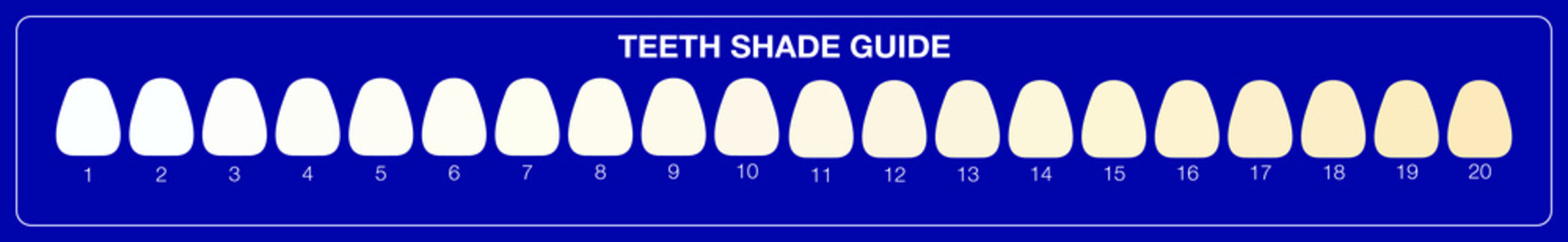 Teeth Whitening Shade Guide, Dental Colour Chart. Flat Illustration Vector