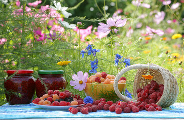 still life with raspberries in a garden among the flowers