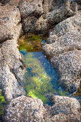 water in rocks