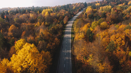 Autumn colors and mountain road aerial view