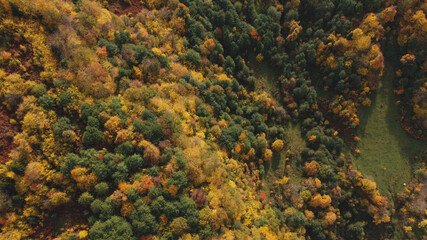 Naklejka na ściany i meble Autumn in the mountain forest. Autumn colors in forest aerial view.