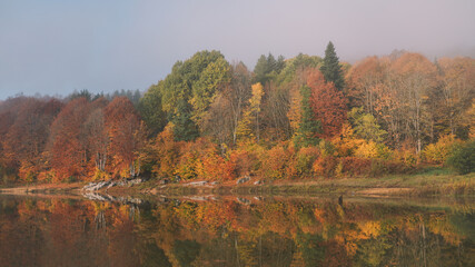 Autumn colors near the lake