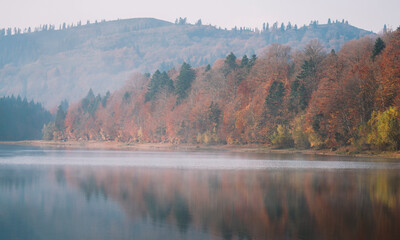 Autumn colors near the lake