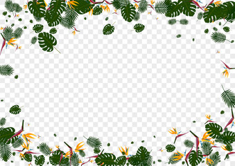Fototapeta premium Pink Leaves Background Transparent Vector. Flora Color Texture. Green Philodendron. Garden Pattern. Orange Jungle Illustration.