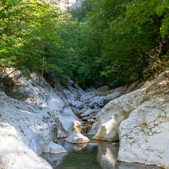 mountain river bed in a canyon, forest