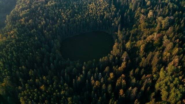 Lake in the middle of the forest. Coniferous forest at dawn, dynamic drone flight over a small, rounded lake. Woodland, wilderness, hard to reach place.