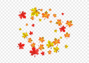 Orange Foliage Background Transparent Vector. Leaf Ground Illustration. Brown Down Floral. September Leaves Frame.