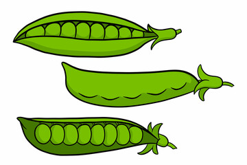 Peas set. Closed and open green pea pods.