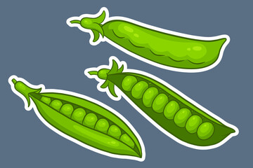 Peas set. Closed and open green pea pods.