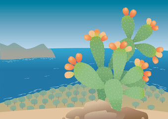 Opuntia. Prickly pear plant with fruits on the sea shore. - 463783603