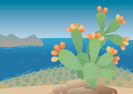 Opuntia. Prickly pear plant with fruits on the sea shore.