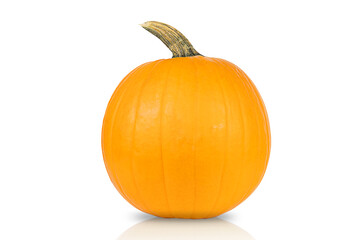 Big pumpkin for Halloween isolated on white background.