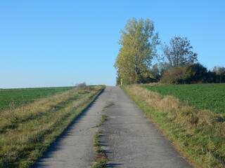 Fototapeta premium countryside road in autumn near Eisingen, Franconia, Bavaria, Germany
