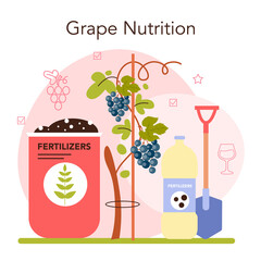 Wine production concept. Grape tree selection and cultivation.