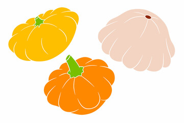 Squash set. Fresh squash yellow, orange and beige.