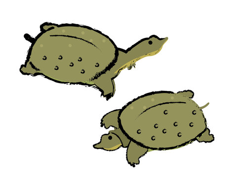 163 件の最適な スッポン鍋 画像 ストック写真 ベクター Adobe Stock 163 件の最適な スッポン鍋 画像 ストック写真 ベクター Adobe Stock