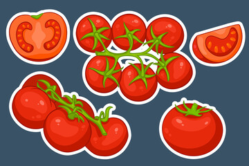 Tomatoes set. Fresh tomatoes, tomatoes on a branch, a wedge and a half.