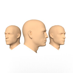3 views  of human head 3D rendered 