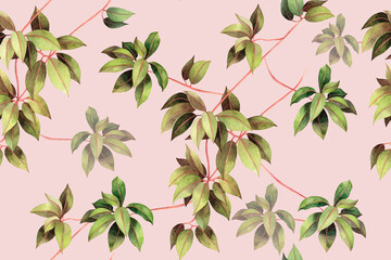 Watercolor painting ivy colorful leaves seamless pattern on pink background.Watercolor hand drawn illustration tropical exotic leaf prints for wallpaper,textile Hawaii aloha jungle summer pattern.