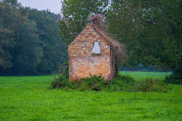 old derelict farm building barn covered in decayed and dried vegetation isolated in a field - obrazy, fototapety, plakaty