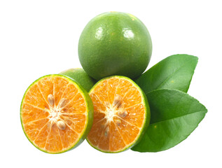 Calamansi or Green orange fruits isolated on white background