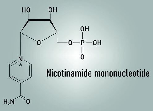 Nicotinamide mononucleotide molecule. Precursor of NAD+. Skeletal formula.