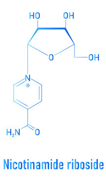 Nicotinamide riboside (NR) molecule. Precursor of nicotinamide adenine dinucleotide (NAD). Skeletal formula.
