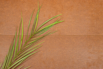 A green palm leaf on wooden board background with a copy space