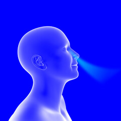 nasal breathing 3D illustration	