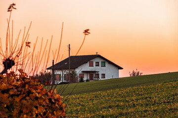 Colorful sunset with ancient house, red tree and orange sky in Cossonay, Switzerland 