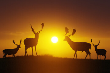 Fototapeta na wymiar Deer at sunset in an open landscape, wildlife and nature. 3D Illustration