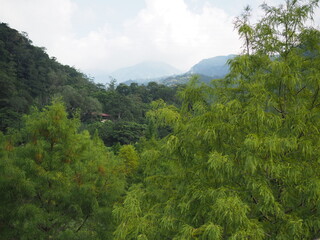 Taiwan mountains
OLYMPUS DIGITAL CAMERA