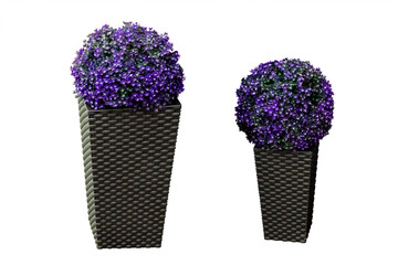 Two artificial bushes of indoor plants with purple small flowers in wicker brown tall pots. An...