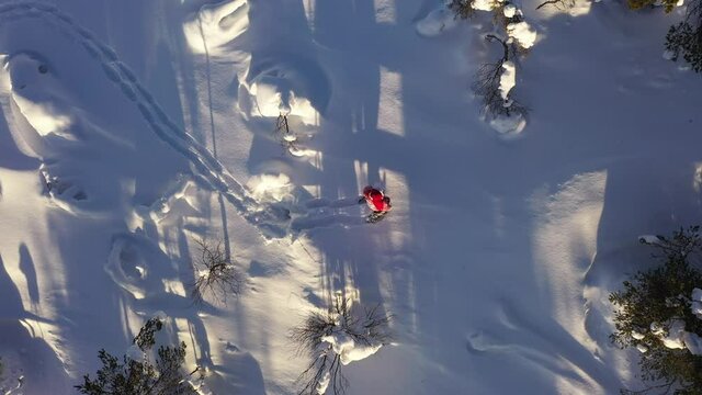 Aerial view above Santa Claus snowshoeing in middle of snowy trees, top of a fell, in sunny Lapland - top down, drone shot