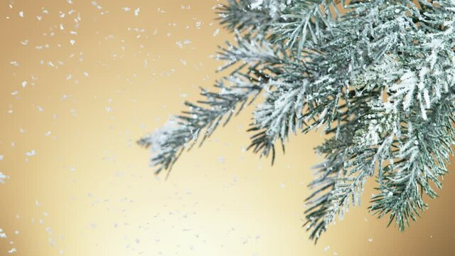 Super slow motion of falling snow with fir branch decoration. Filmed on high speed cinema camera, 1000 fps.