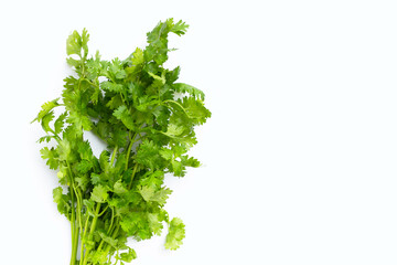 Obraz premium Fresh coriander leaves on white background.