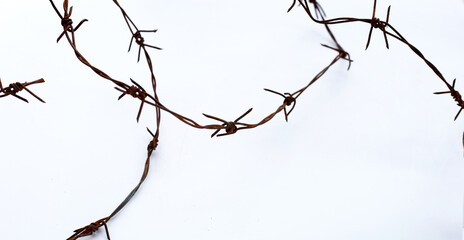 Rusty barb wire isolated on white background