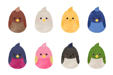 Cute little bird character illustration set