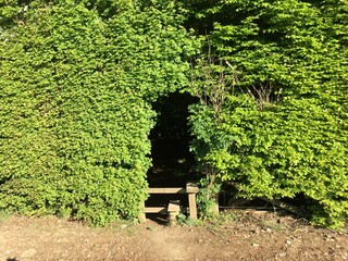 gap through hedge and stile footpath